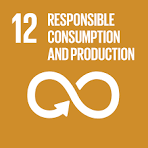 SDG-12 icon